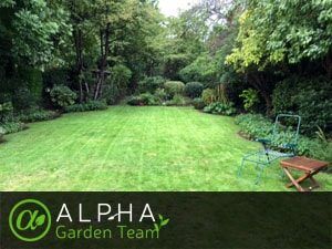 Reputable Lawn Mowing from Bristol's Best Gardeners