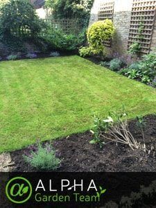 lawn mowing services